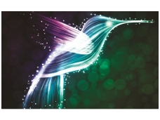 FOR WALL fototapetai 0769VE XXXL
