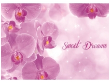 FOR WALL fototapetai 0778VE XXXL