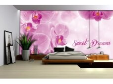 FOR WALL fototapetai 0778VE XXXL FOR WALL fototapetai 0778VE XXXL