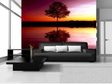 FOR WALL fototapetai 08-007VE L