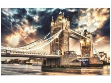 FOR WALL fototapetai 0846VE XXXL