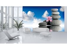 FOR WALL fototapetai 0849VE XL FOR WALL fototapetai 0849VE XL