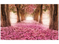 FOR WALL fototapetai 0851VE XXXL