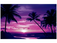 FOR WALL fototapetai 0889VE XL