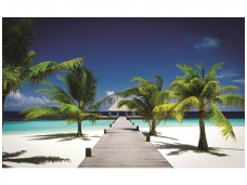FOR WALL fototapetai 0891VE XXXL