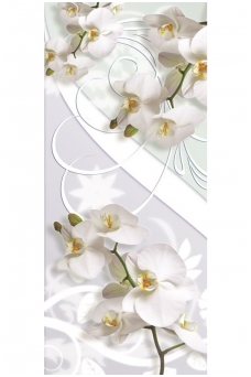 FOR WALL fototapetai 1611VET