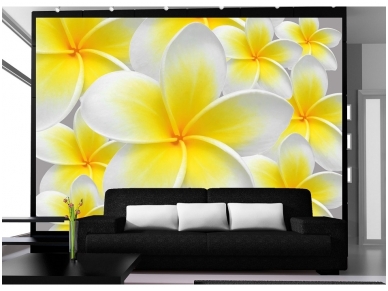 FOR WALL fototapetai 0033VE XXL 1