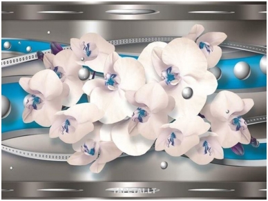 FOR WALL fototapetai 1450VE XXL