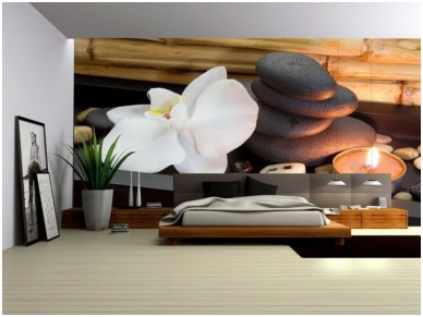 FOR WALL fototapetai 0050VE P8 1