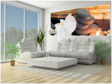 FOR WALL fototapetai 0050VEP 1 FOR WALL fototapetai 0050VEP 1