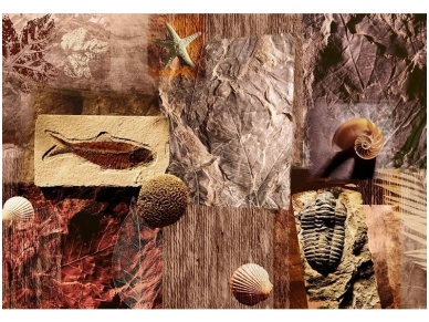 FOR WALL fototapetai 0053VE XXL FOR WALL fototapetai 0053VE XXL