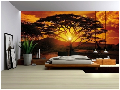FOR WALL fototapetai 0055VE XXXL 1