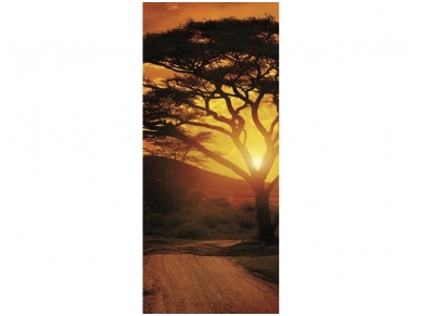 FOR WALL fototapetai 0055VET