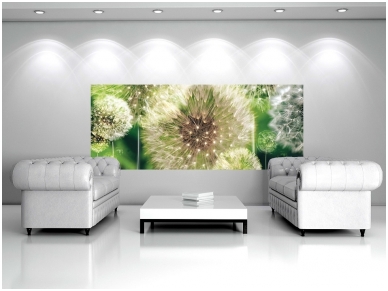 FOR WALL fototapetai 0056VE M 2