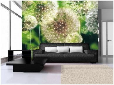 FOR WALL fototapetai 0056VE XXL 1