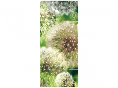 FOR WALL fototapetai 0056VET