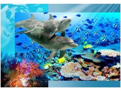 FOR WALL fototapetai 0072VE XXL