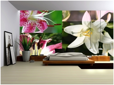 FOR WALL fototapetai 0076VE P8 1