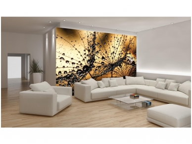 FOR WALL fototapetai 1008VE L 1