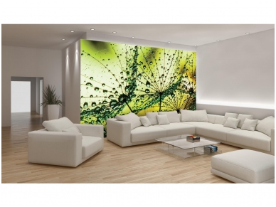FOR WALL fototapetai 1009VE XL 1