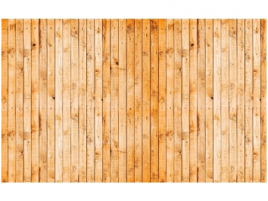 FOR WALL fototapetai 1012VE XXXL