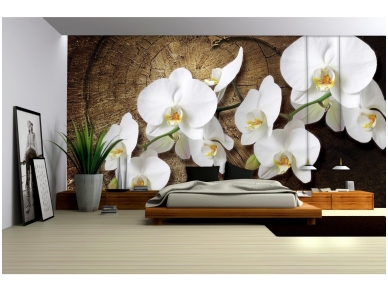 FOR WALL fototapetai 1014VE XXXL 1