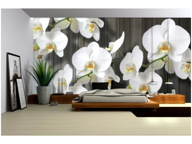 FOR WALL fototapetai 1015VE XXXL 1