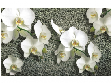 FOR WALL fototapetai 1016VE P4 FOR WALL fototapetai 1016VE P4