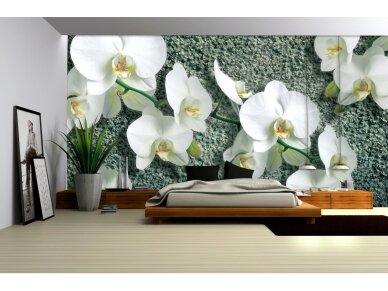 FOR WALL fototapetai 1016VE XL 1