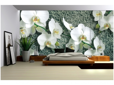 FOR WALL fototapetai 1016VE XXXL 1