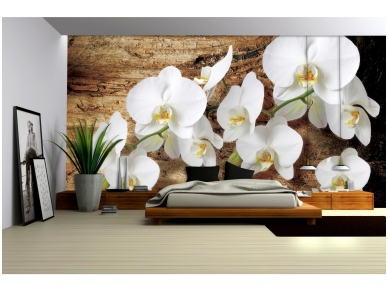 FOR WALL fototapetai 1017VE XXXL 1