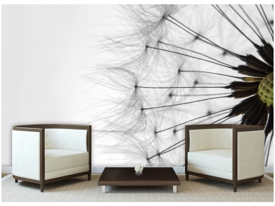 FOR WALL fototapetai 1023VE XL 2