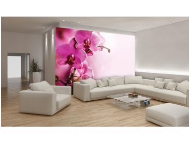 FOR WALL fototapetai 1033VE XXXL 1
