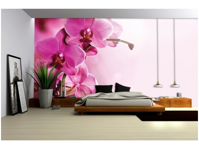 FOR WALL fototapetai 1033VE XXXL 2