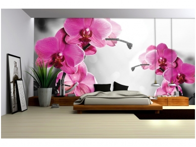 FOR WALL fototapetai 1034VE XXXL 1