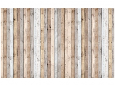 FOR WALL fototapetai 1036VE L