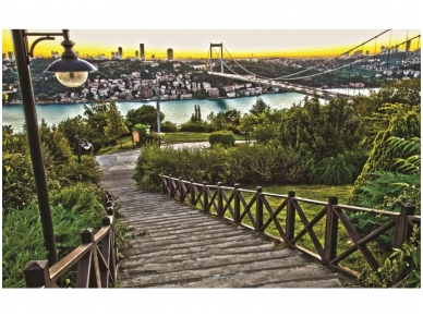 FOR WALL fototapetai 1065VE XL FOR WALL fototapetai 1065VE XL