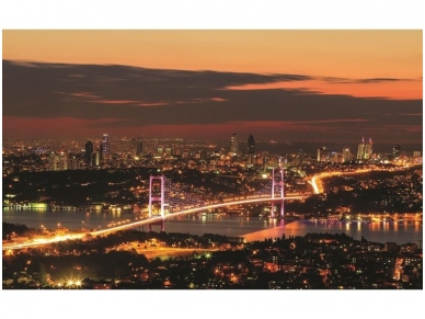 FOR WALL fototapetai 1066VE P8