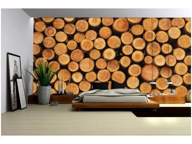 FOR WALL fototapetai 1068VE XXXL 1