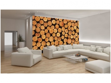 FOR WALL fototapetai 1068VE XXXL 2