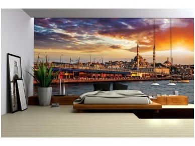 FOR WALL fototapetai 1069VE L 1