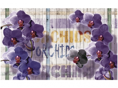 FOR WALL fototapetai 1070VE XXL