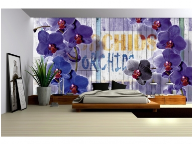 FOR WALL fototapetai 1070VE XXXL 1