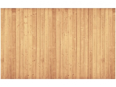FOR WALL fototapetai 1095VE XXXL