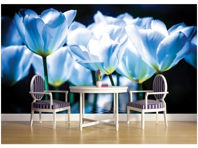 FOR WALL fototapetai 1103VE XXXL 1