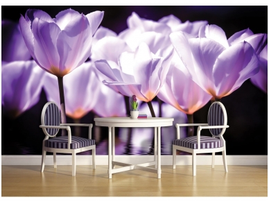 FOR WALL fototapetai 1104VE XXXL 1