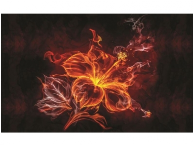 FOR WALL fototapetai 1105VE XXXL FOR WALL fototapetai 1105VE XXXL