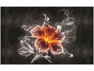 FOR WALL fototapetai 1107VE XXXL