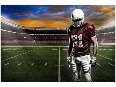 FOR WALL fototapetai 1109VE XXL
