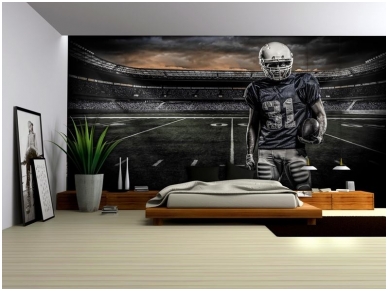 FOR WALL fototapetai 1115VE XXXL 2